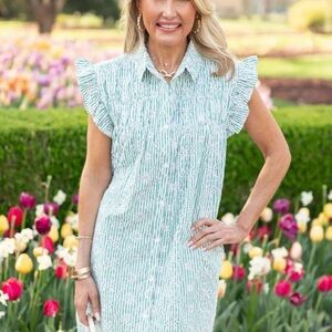 Avara Gentry Dress XS NWT